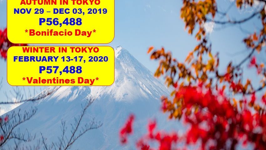 5 DAYS 4 NIGHTS PACKAGE JAPAN 2019 to 2020
